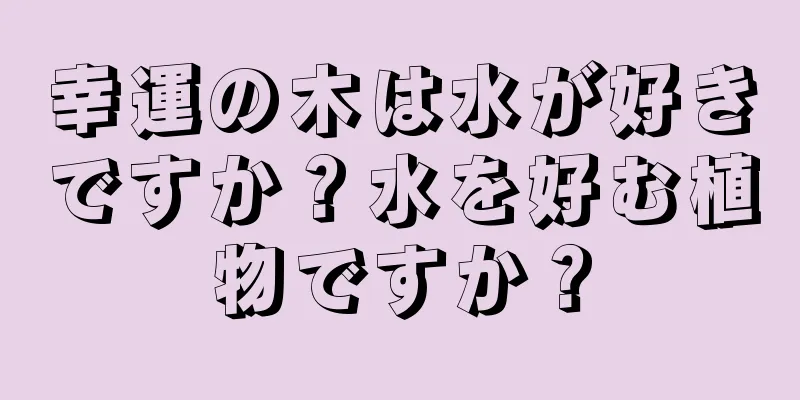 幸運の木は水が好きですか？水を好む植物ですか？