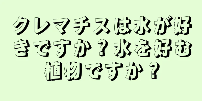 クレマチスは水が好きですか？水を好む植物ですか？