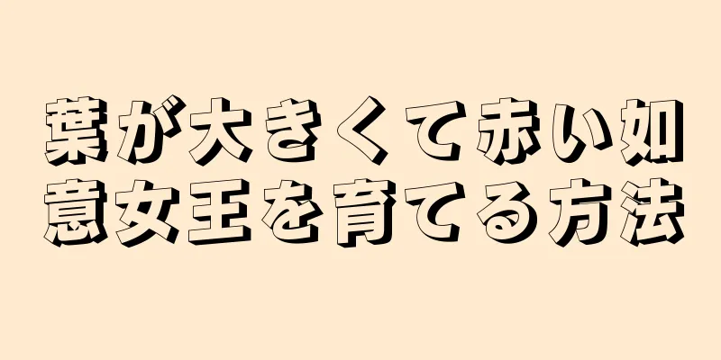 葉が大きくて赤い如意女王を育てる方法
