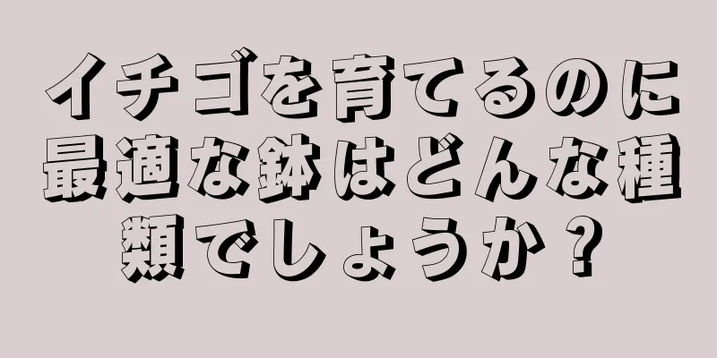 イチゴを育てるのに最適な鉢はどんな種類でしょうか？