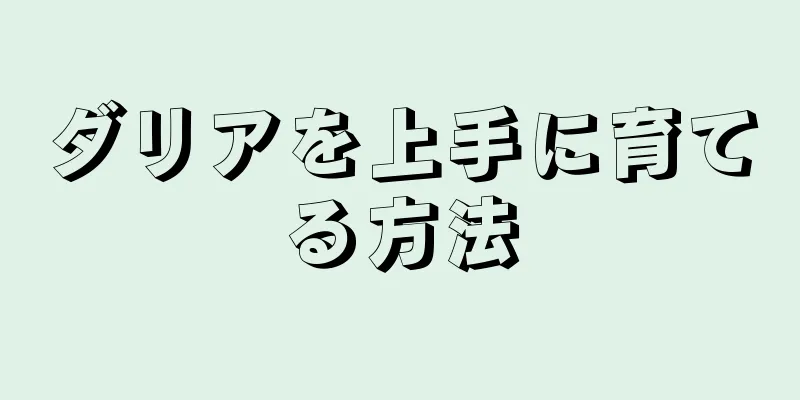 ダリアを上手に育てる方法