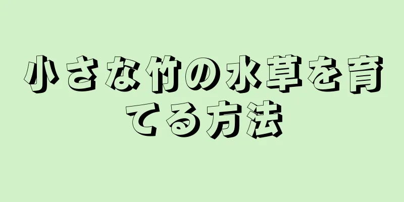 小さな竹の水草を育てる方法