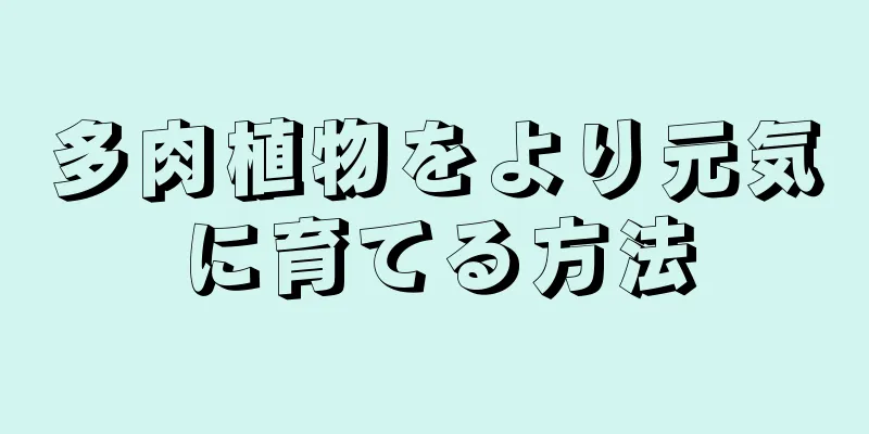 多肉植物をより元気に育てる方法
