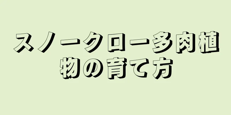 スノークロー多肉植物の育て方