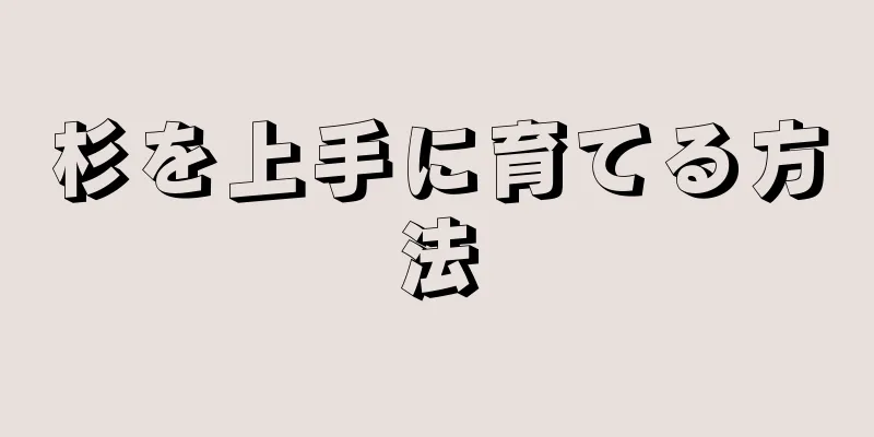 杉を上手に育てる方法